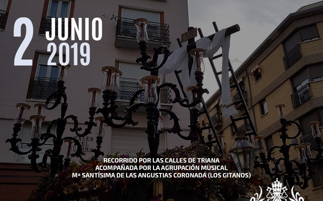 Cruz Mayo Estrella 2019 Feed