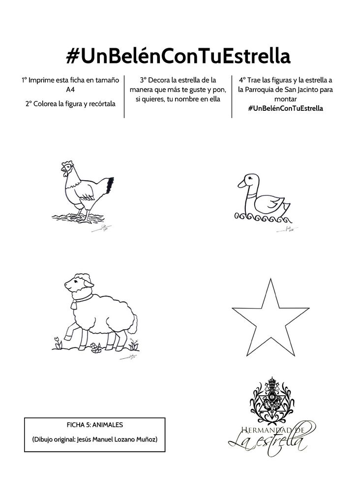 FICHA 5 ANIMALES