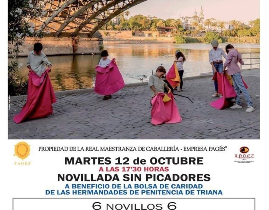 Festival taurino novillada 2021