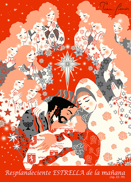 Christmas Hdad. Estrella low